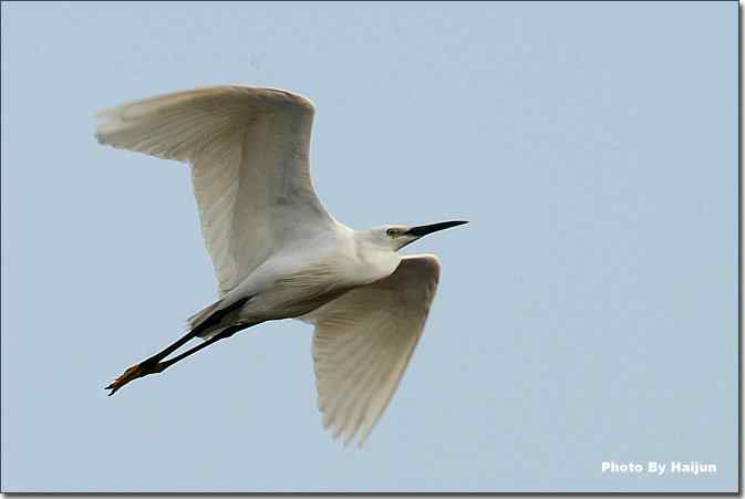  点击图片或使用键盘← →翻页