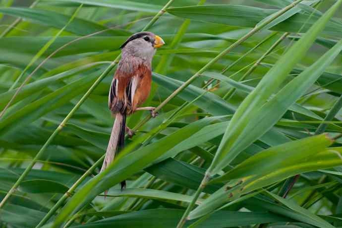 萌态可掬的鈥溦鸬┬∪糕☆★ 萌态可掬的鈥溦鸬┬∪糕☆★