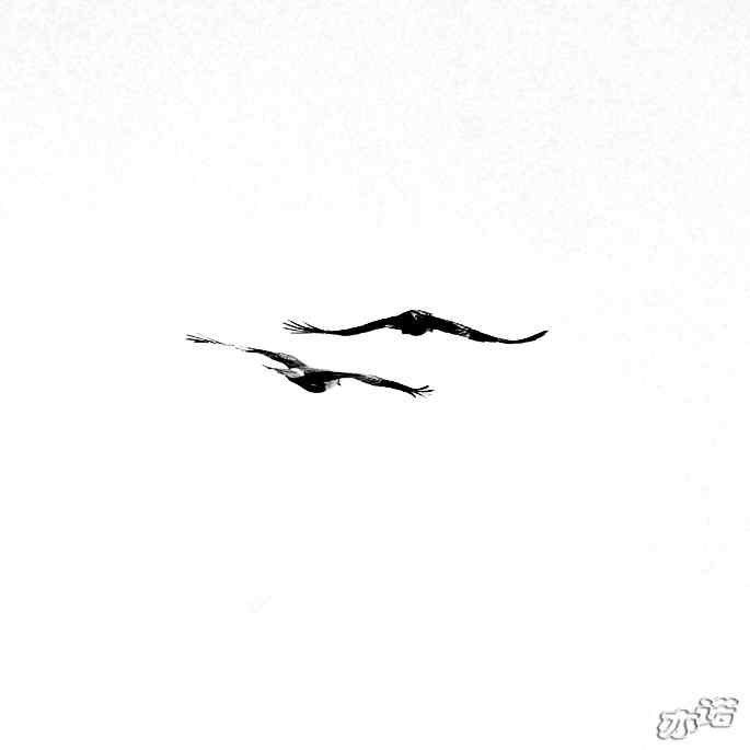 北京西山 wbr路 wbr拦路的乌鸦 北京西山 wbr路 wbr拦路的乌鸦