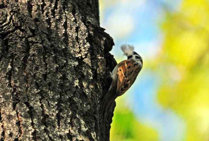 准备过冬（记实）