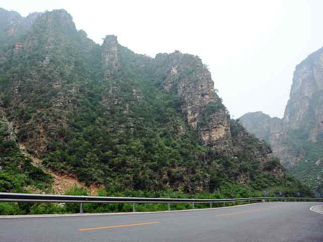 蒲洼围剿蓝矶鸫