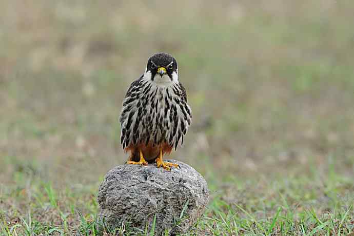 狂野周末鈥斺斆颓萜ㄅ级舭妫