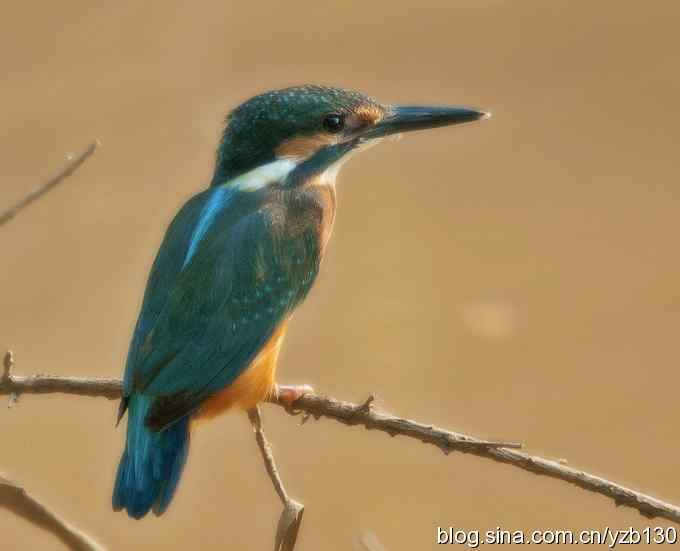 白河峡谷一日游（组图，11张图片）
