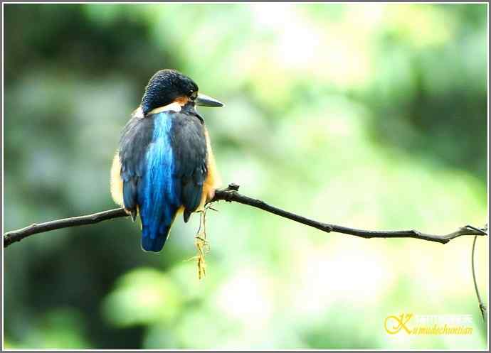 鈥溞〈溻澒槔础菊掌