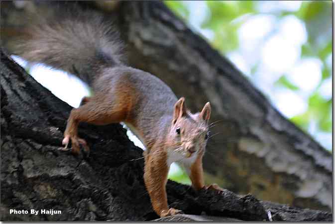  点击图片或使用键盘← →翻页