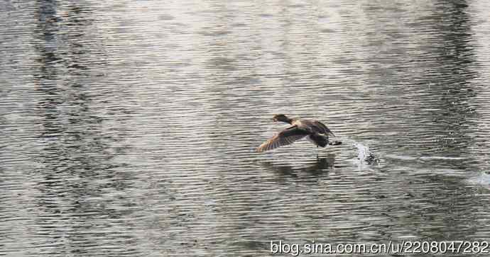 185.再见了小！