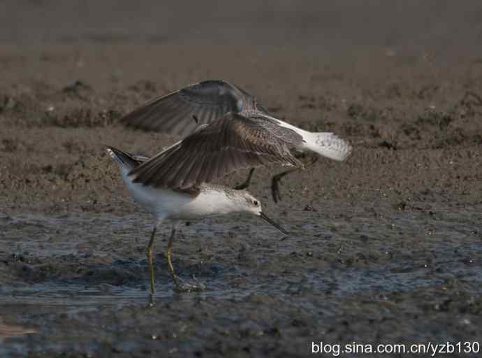 人不犯我我不犯人（组图，5张图片）