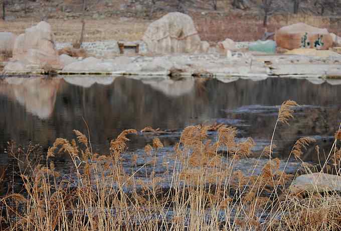 怀沙河鸟调 怀沙河鸟调