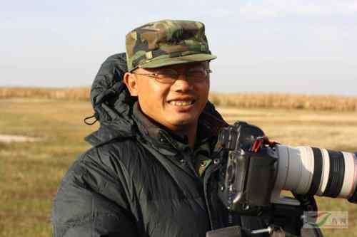 林甸的白头鹤 林甸的白头鹤