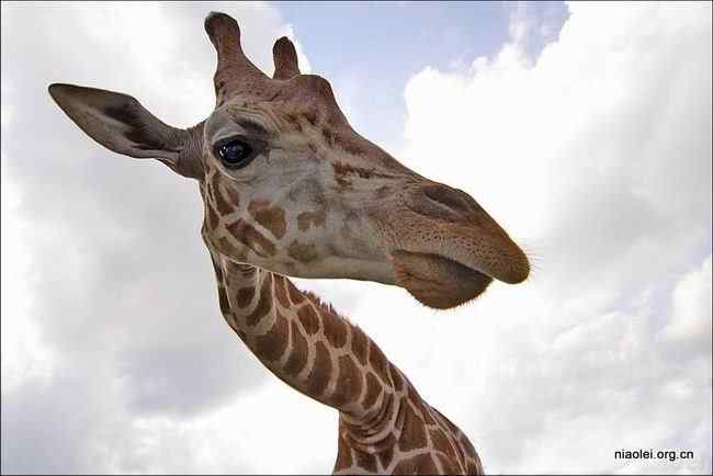 唯美至极的经典摄影图片(48p)