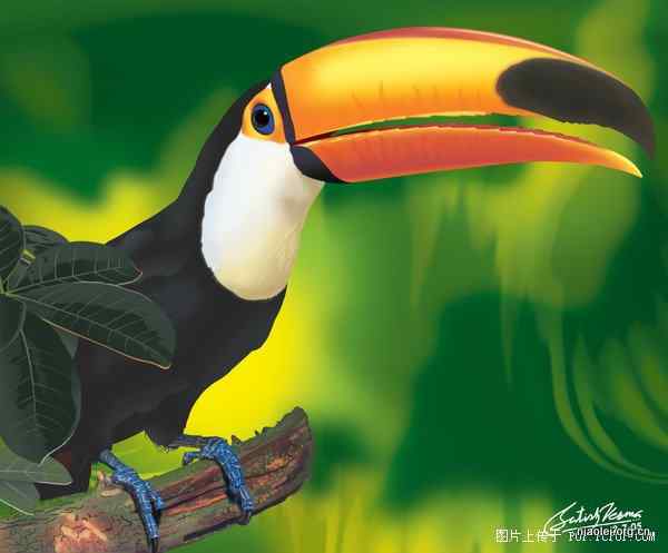 [组图]唯美的印度数字绘画 花草鸟类(47p)