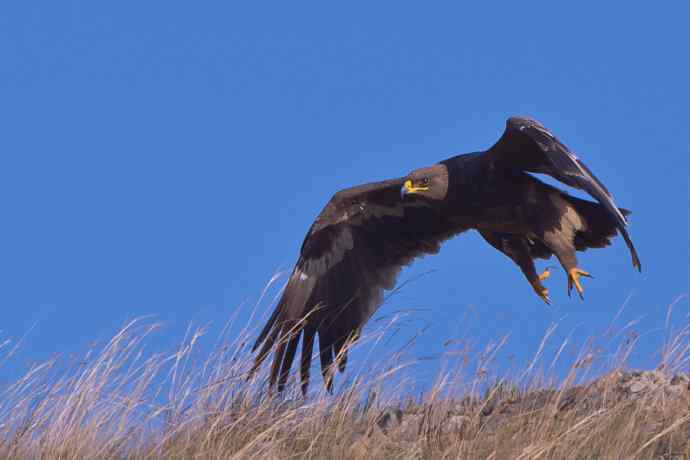 达里诺尔圆梦 wbr wbr克什克腾摄雕