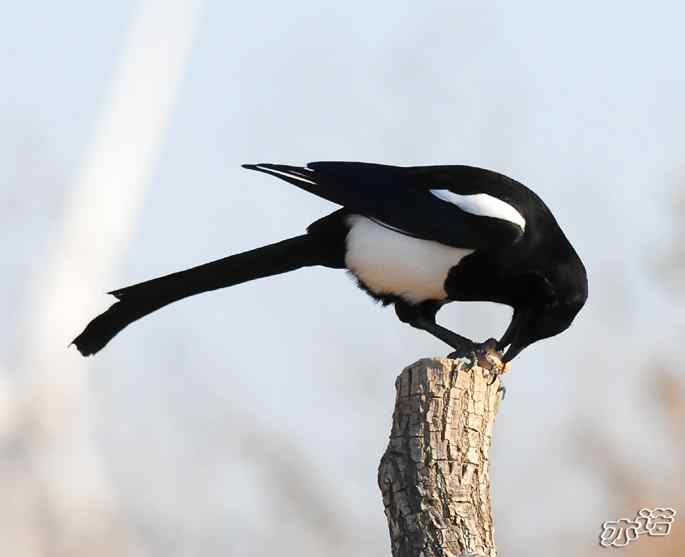 官厅水库&nbsp;wbr路&nbsp;wbr鈥湹刂麾澫踩