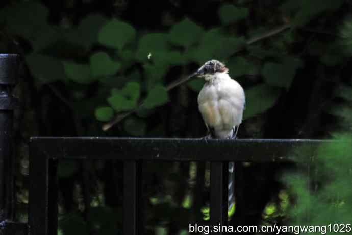 它是鈥湷の财骛题澛穑浚锹及妫