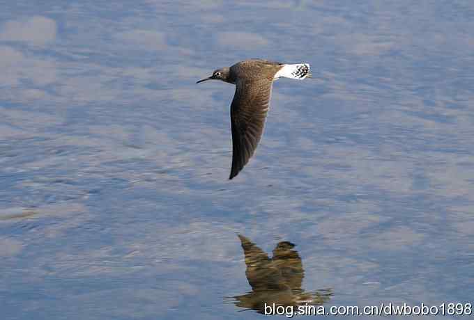 山光悦鸟性 wbr偶心竞翔飞 山光悦鸟性 wbr偶心竞翔飞