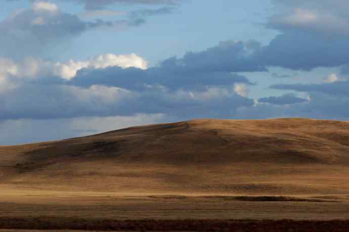 克旗草原 wbr邂逅大鸨