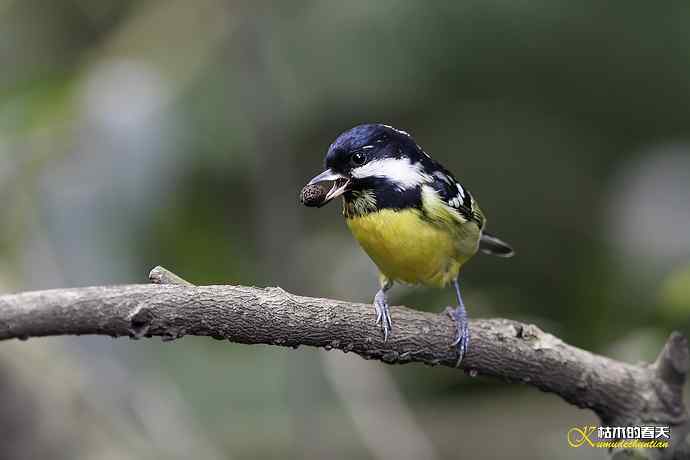 鈥溁聘股饺糕澊⒘腹