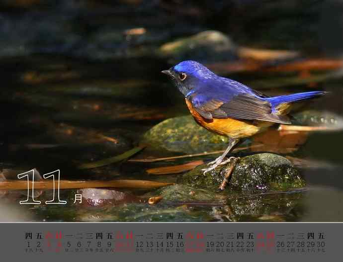 珍惜生命中的每一天-献给我的2012【图】