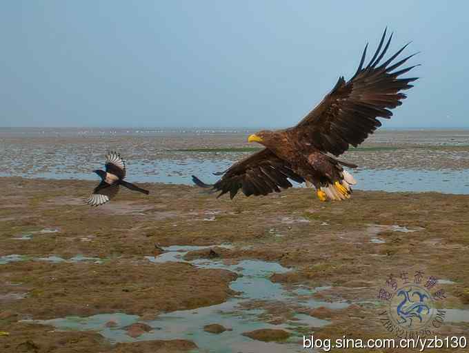 难忘断背山（组图，一个视频，20张图片）