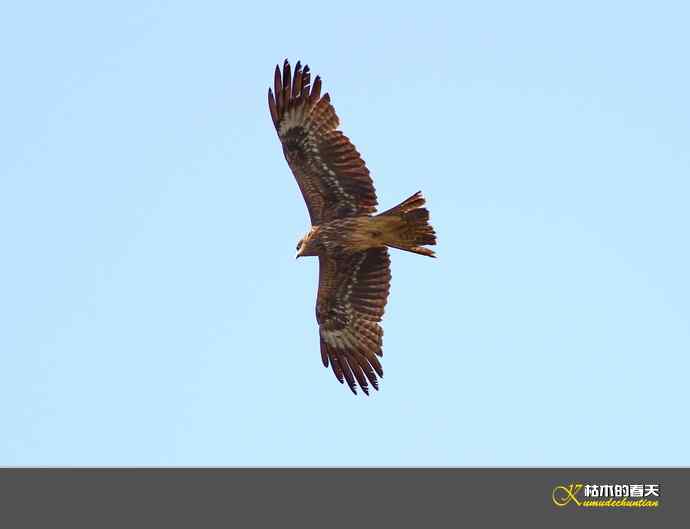 红原大草原的鈥満陴扳