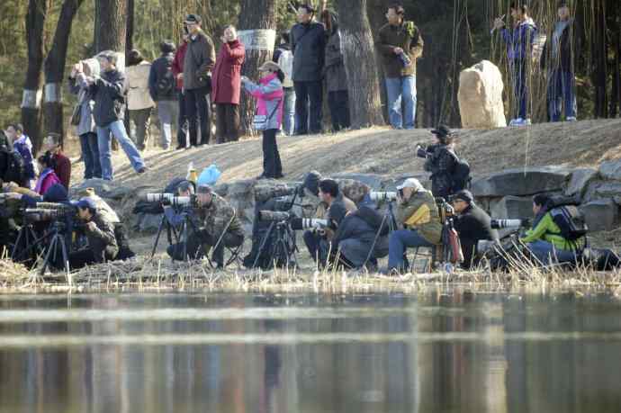 阳春三月闹爱情 阳春三月闹爱情