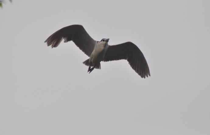 20100505当日总结