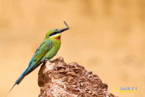 盛夏天拍鈥溊鹾矸浠⑩