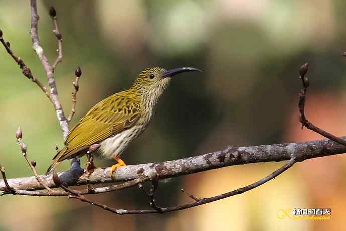 记录鈥溛票巢吨肽疋 记录鈥溛票巢吨肽疋