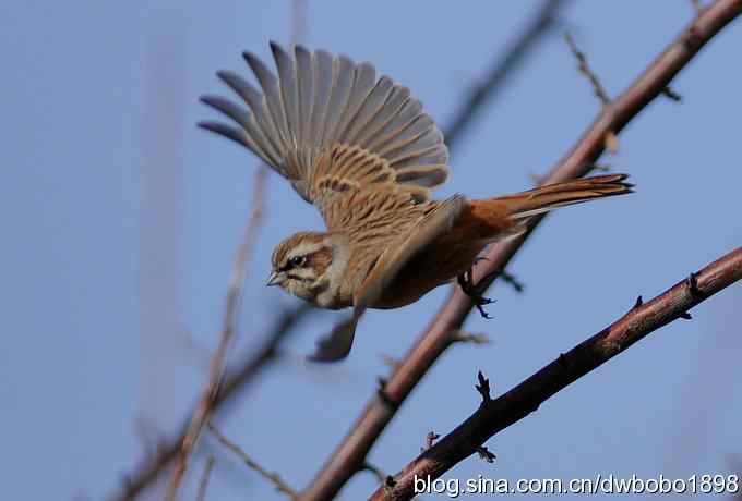 岁末再访白河峡谷 岁末再访白河峡谷
