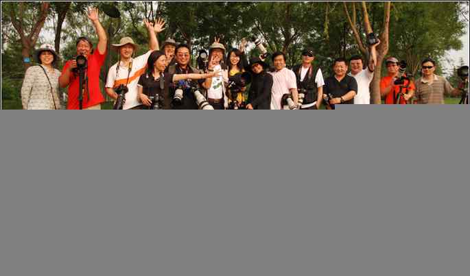 白鹭捕红鱼 白鹭捕红鱼