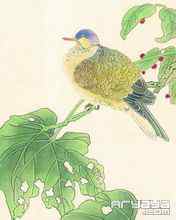 吉祥鸟水彩画手机壁纸