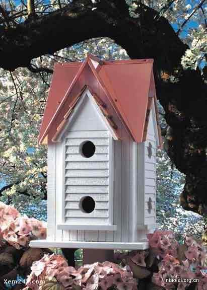 [组图]国外精致别致的鸟窝(40p)