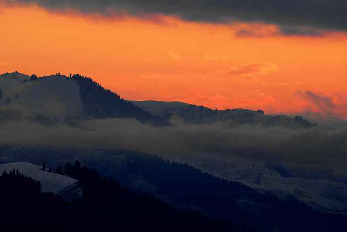 独特的高原生态系统——巴音布鲁克湿地