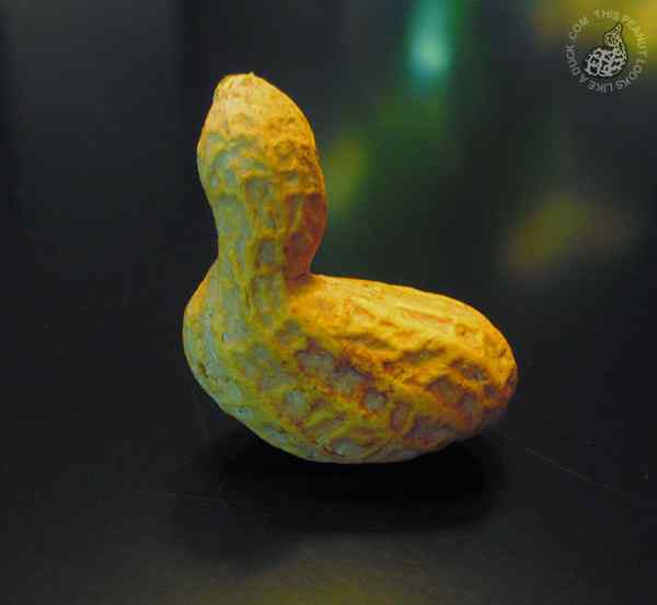 世界上最无聊的网站:一粒长得像鸭子的花生 世界上最无聊的网站:一粒长得像鸭子的花生