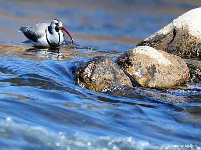 游走山水 猎摄河湾