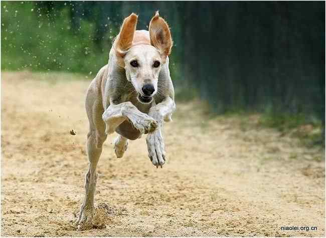 唯美至极的经典摄影图片(48p)