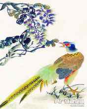 吉祥鸟水彩画手机壁纸