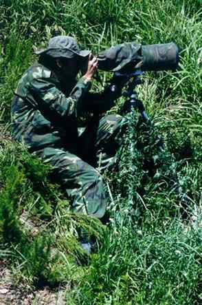 辽宁红铜沟——大白鹭宁静的家园