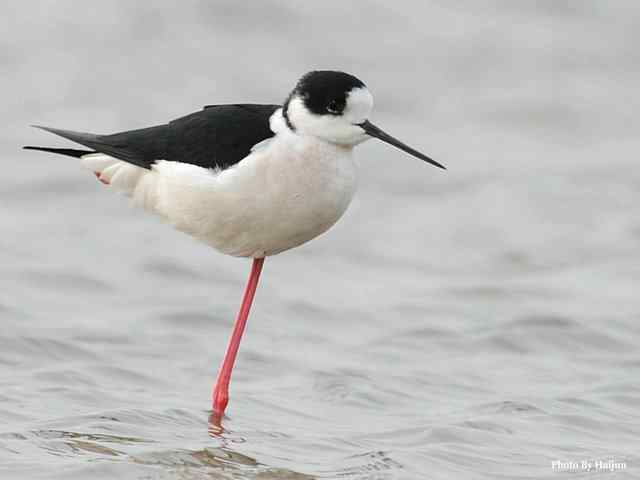 我憧憬那湾碧水 wbr. wbr我流连那片土地