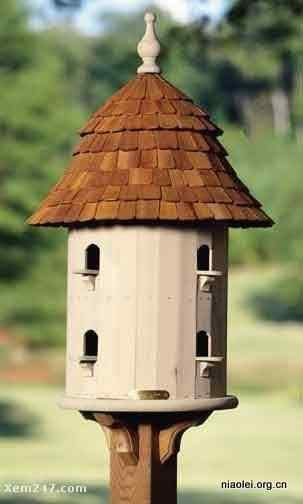 [组图]国外精致别致的鸟窝(40p)
