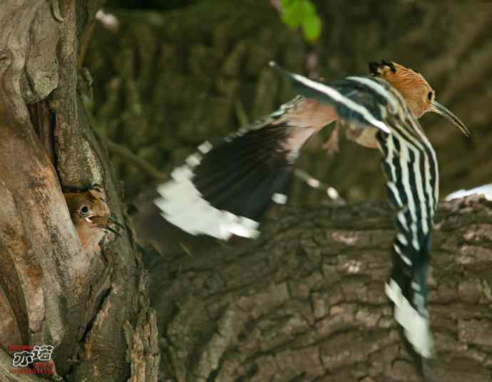 敬畏生命 敬畏生命