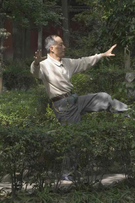 文殊院的白头鹎