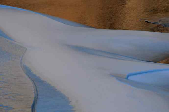 永定河生态观鸟