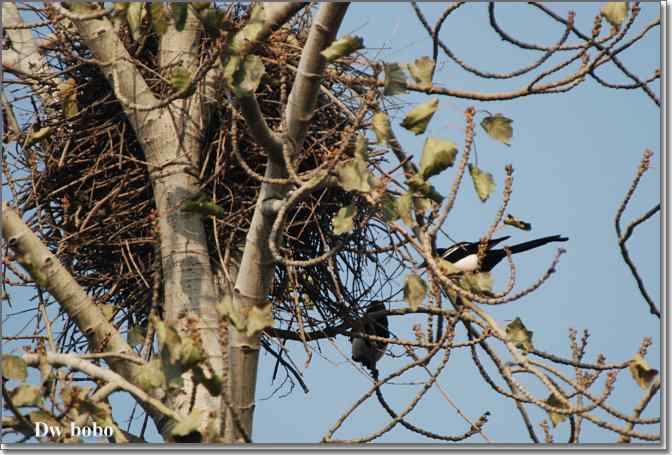 点击图片或使用键盘← →翻页