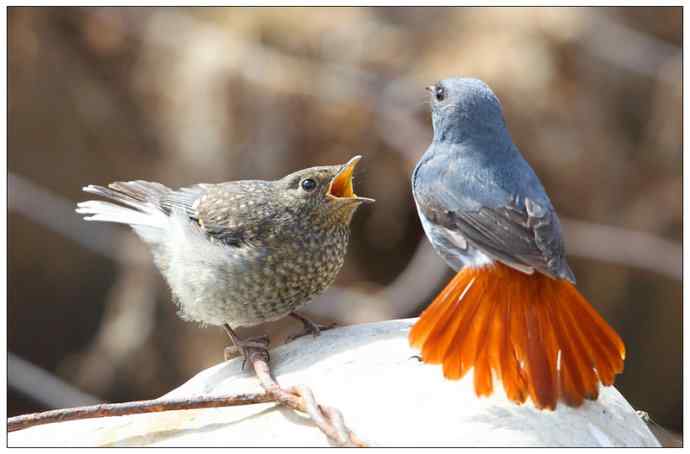 【I 'd never find a love like this】（父爱如山）