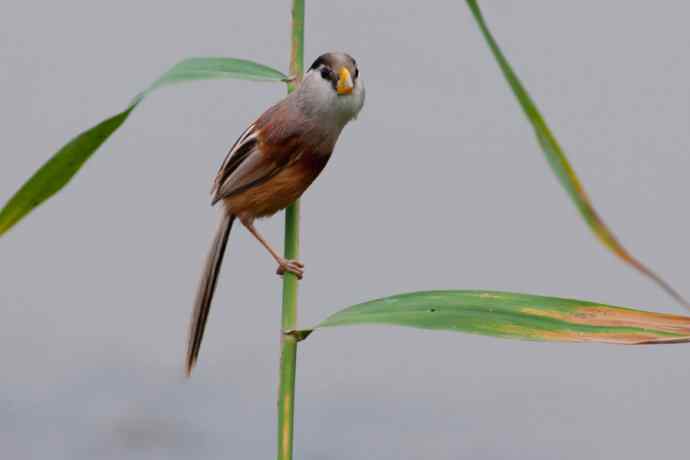萌态可掬的鈥溦鸬┬∪糕☆★ 萌态可掬的鈥溦鸬┬∪糕☆★