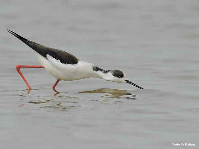 我憧憬那湾碧水 wbr. wbr我流连那片土地
