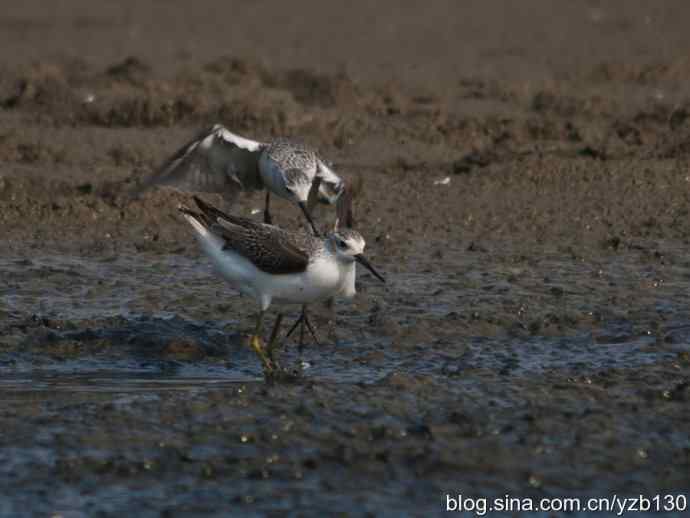 人不犯我我不犯人（组图，5张图片）