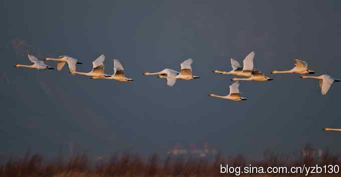 今日野鸭湖鈥斺敶筇於欤ㄗ橥迹20张图片）