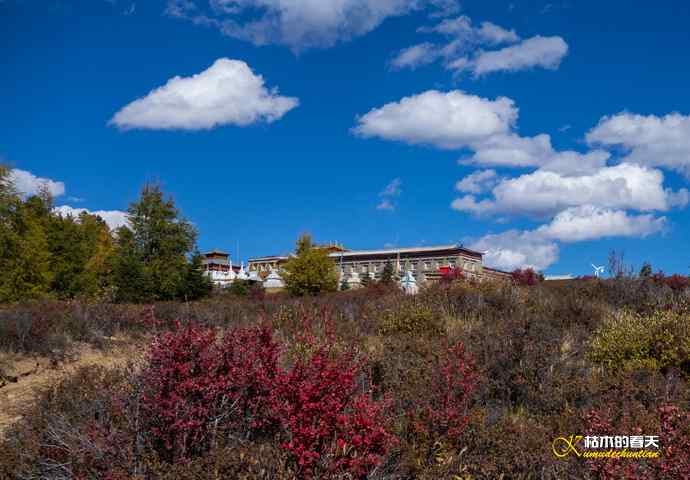 帕姆岭拍鈥溠翕